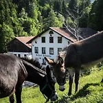 Fallmuehle 2* Pfronten