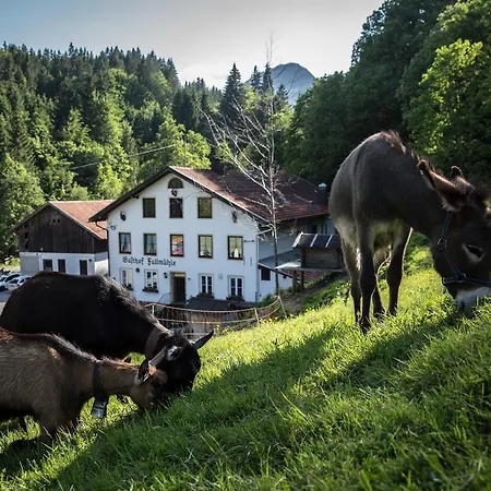 Fallmühle Gasthof