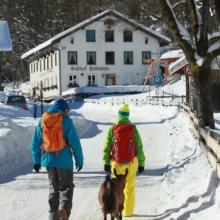 Fallmühle 2* Pfronten